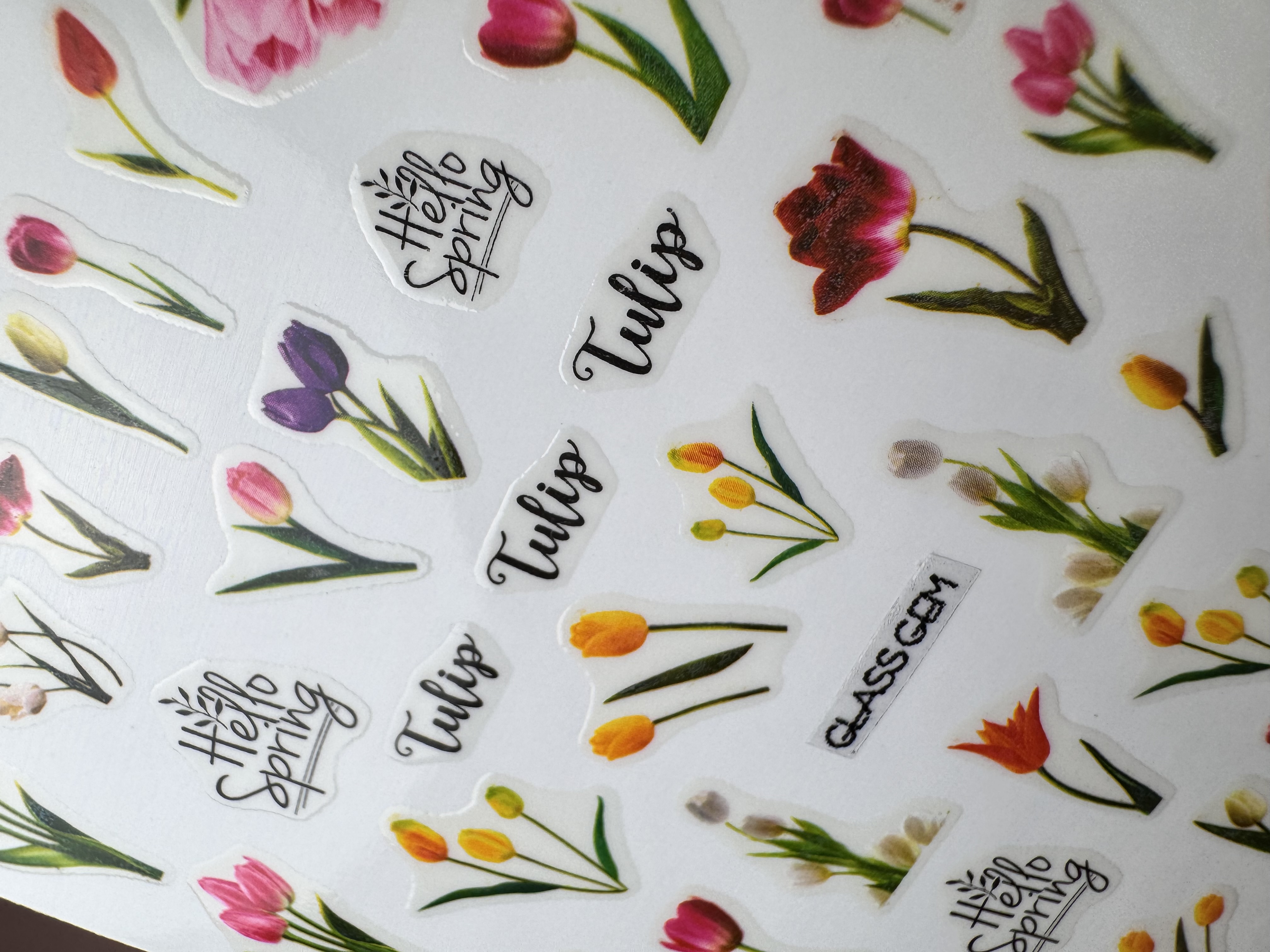Sticker FLOWERS pink tulips
