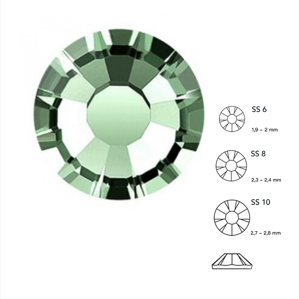 Erinite ss8