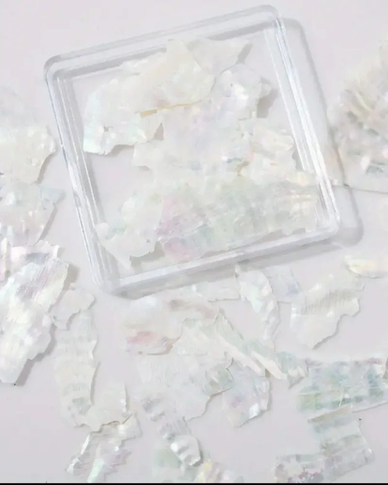 White shell