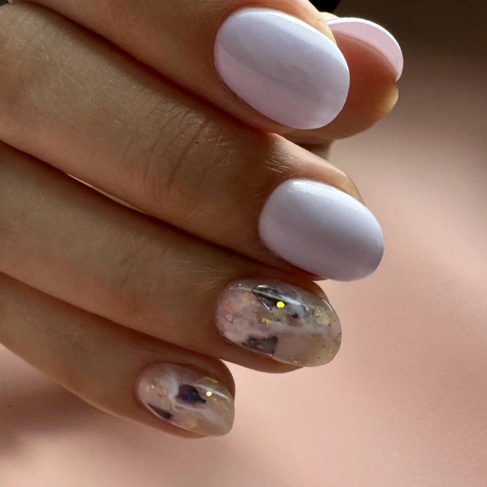 Dark Violet Shell