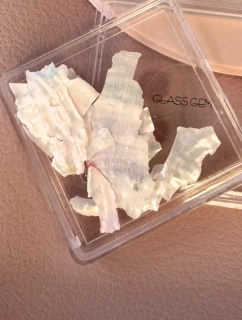 Light Pink Shell