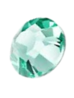 Erinite ss6